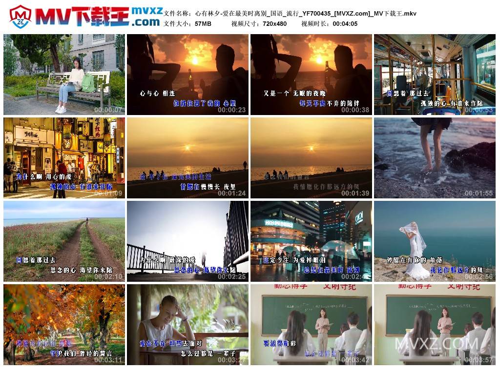 心有林夕-爱在最美时离别_国语_流行_YF700435
